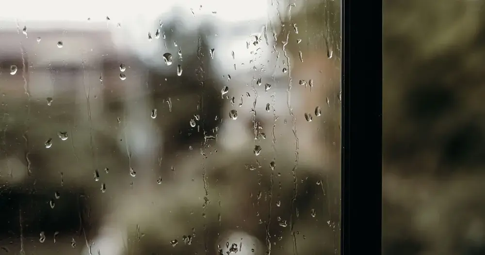 infiltração pela janela